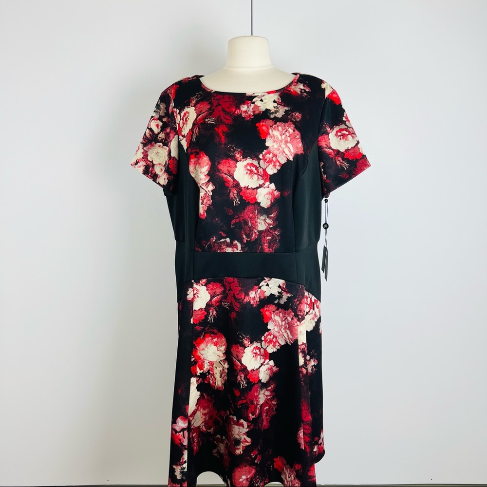 Adrianna Papell Black Floral Scuba A-Line Dress
